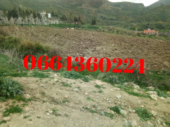 Terrain à vendre 9